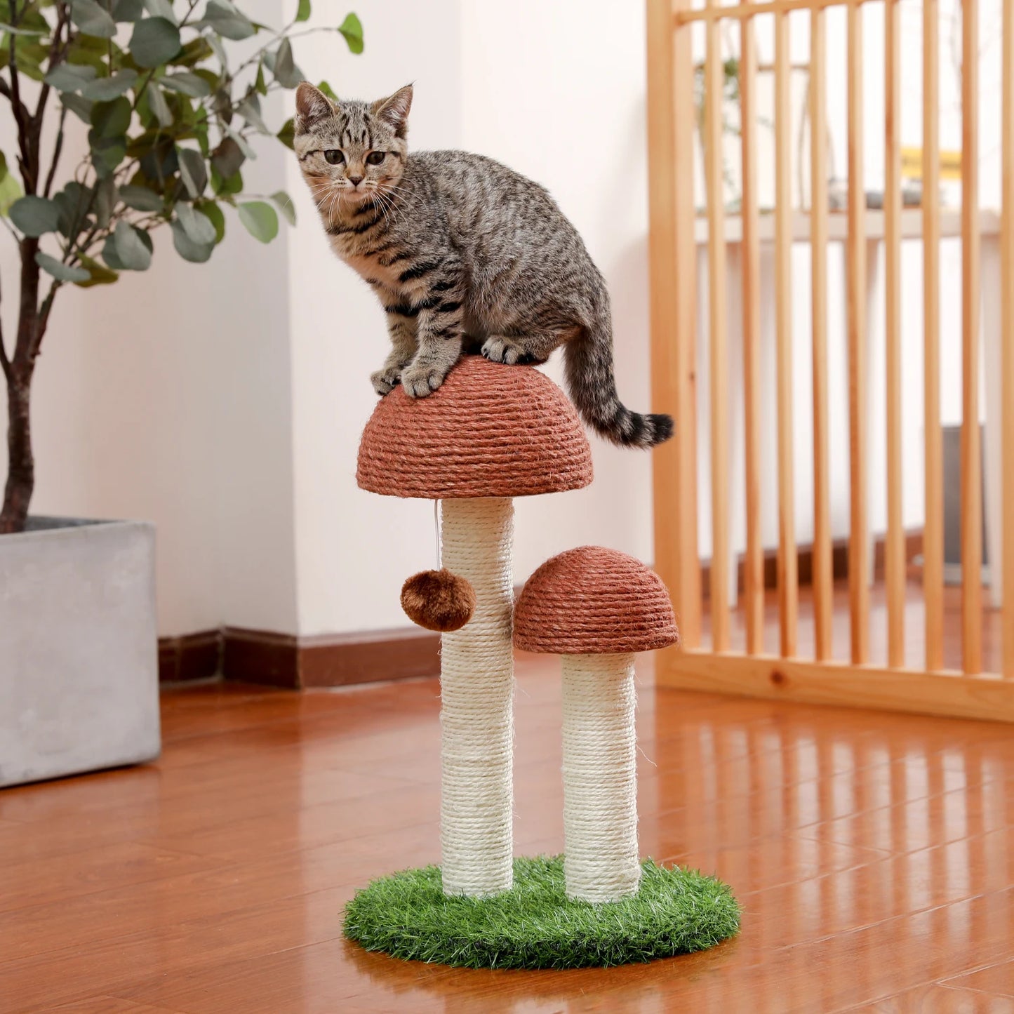Luxury Cat Climbing Frame Multi-Layer Scratching Post Playground