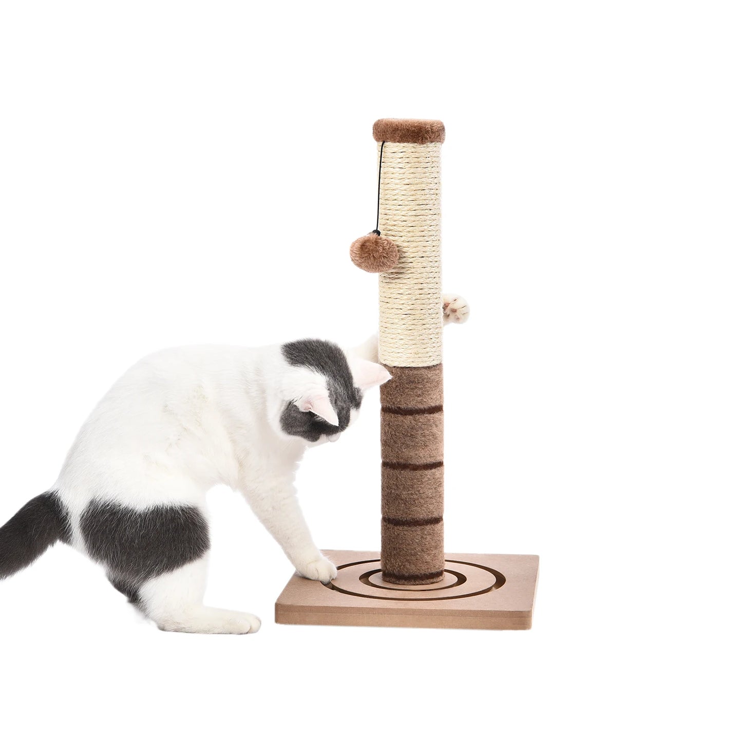 Pet Cat Tree Tower Condo Scratching Post Activity House for Cats
