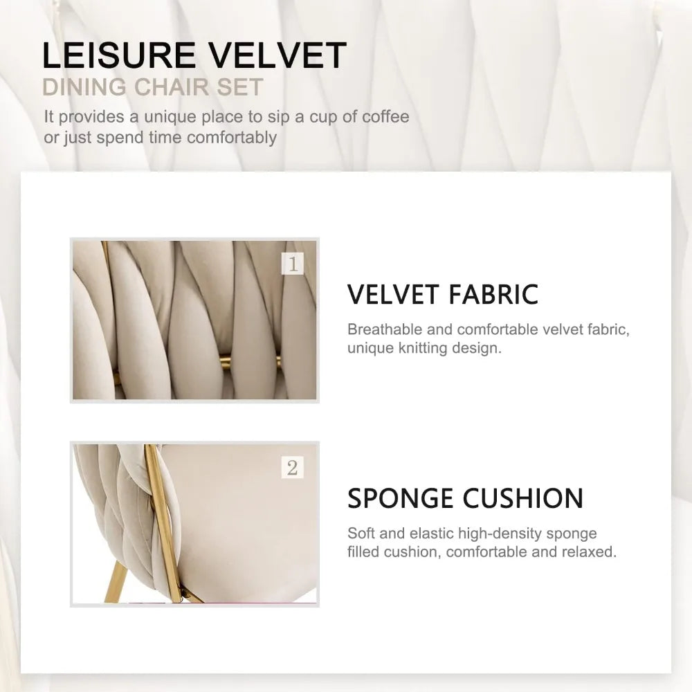 Velvet Dining Chairs Set of 2 Modern Accent Chairs with Gold Legs