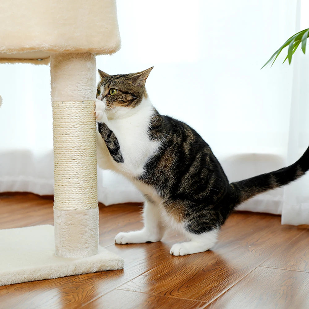 Pet Cat Tree Tower Condo Scratching Post Activity House for Cats