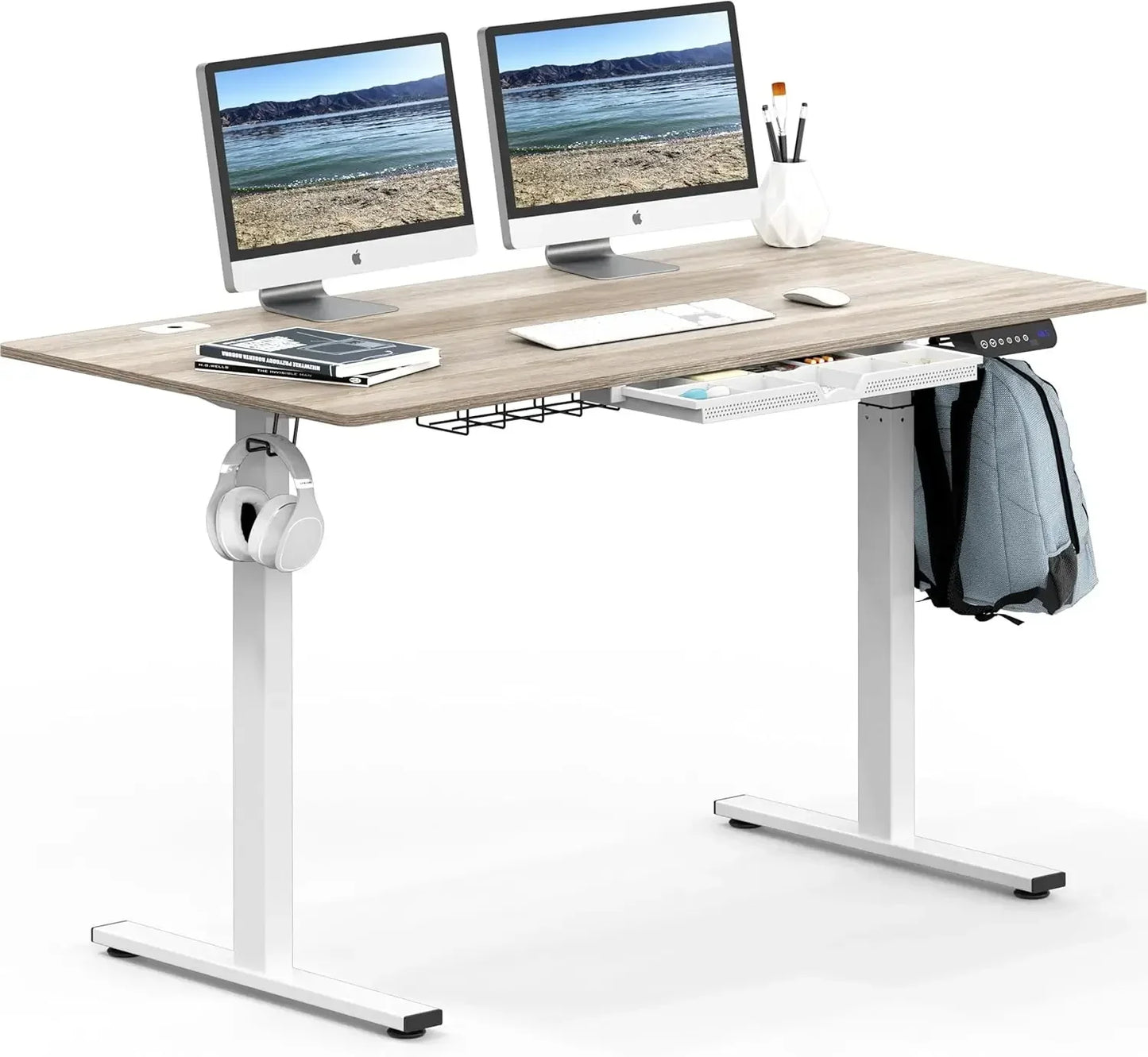 Large Electric Height Adjustable Standing Desk 55 Inch Maple Modern