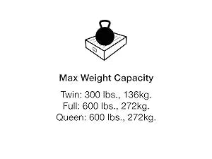 Ljustra 22in Queen Comfort Plush High-Rise Inflatable Air Mattress