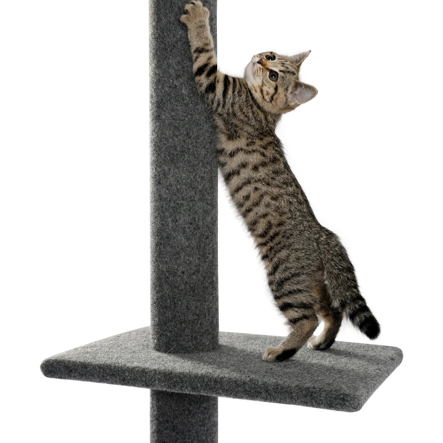 Adjustable Height Cat Tree Indoor Floor to Ceiling Tower Scratching Post