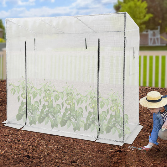 Green House Kit Outdoor Greenhouse Plant Storage PE Cover 200x77x170cm
