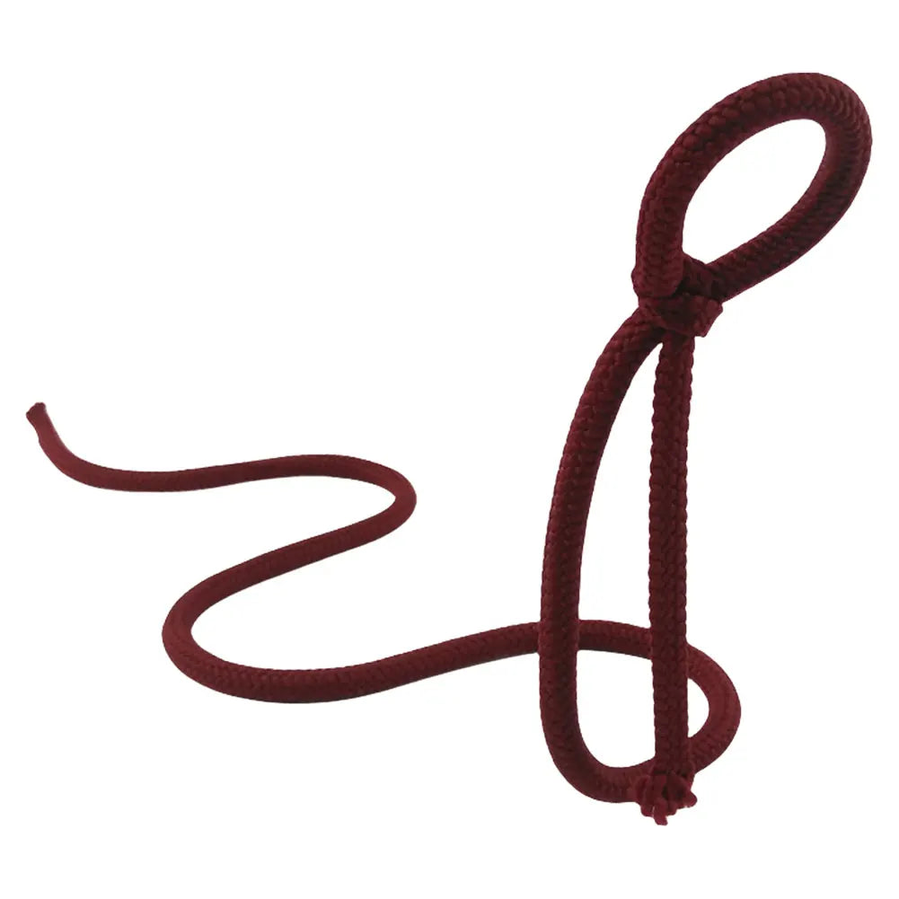 Creative Modern Wine Bottle Holder Rope Shaped Bracket for Home Bar