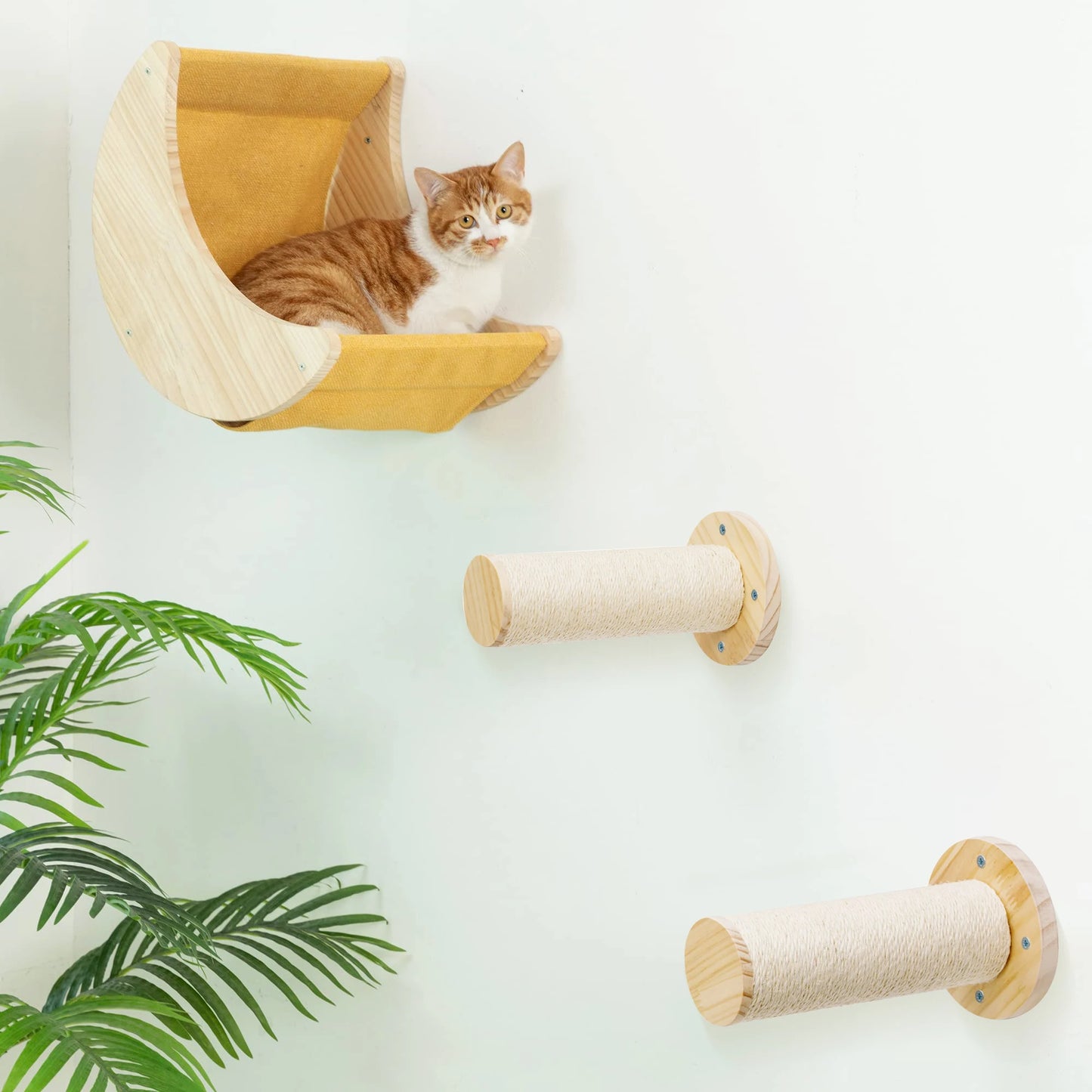 Cat Wall Shelf Moon Shaped Hammock Solid Wood Climbing Steps Indoor Furniture