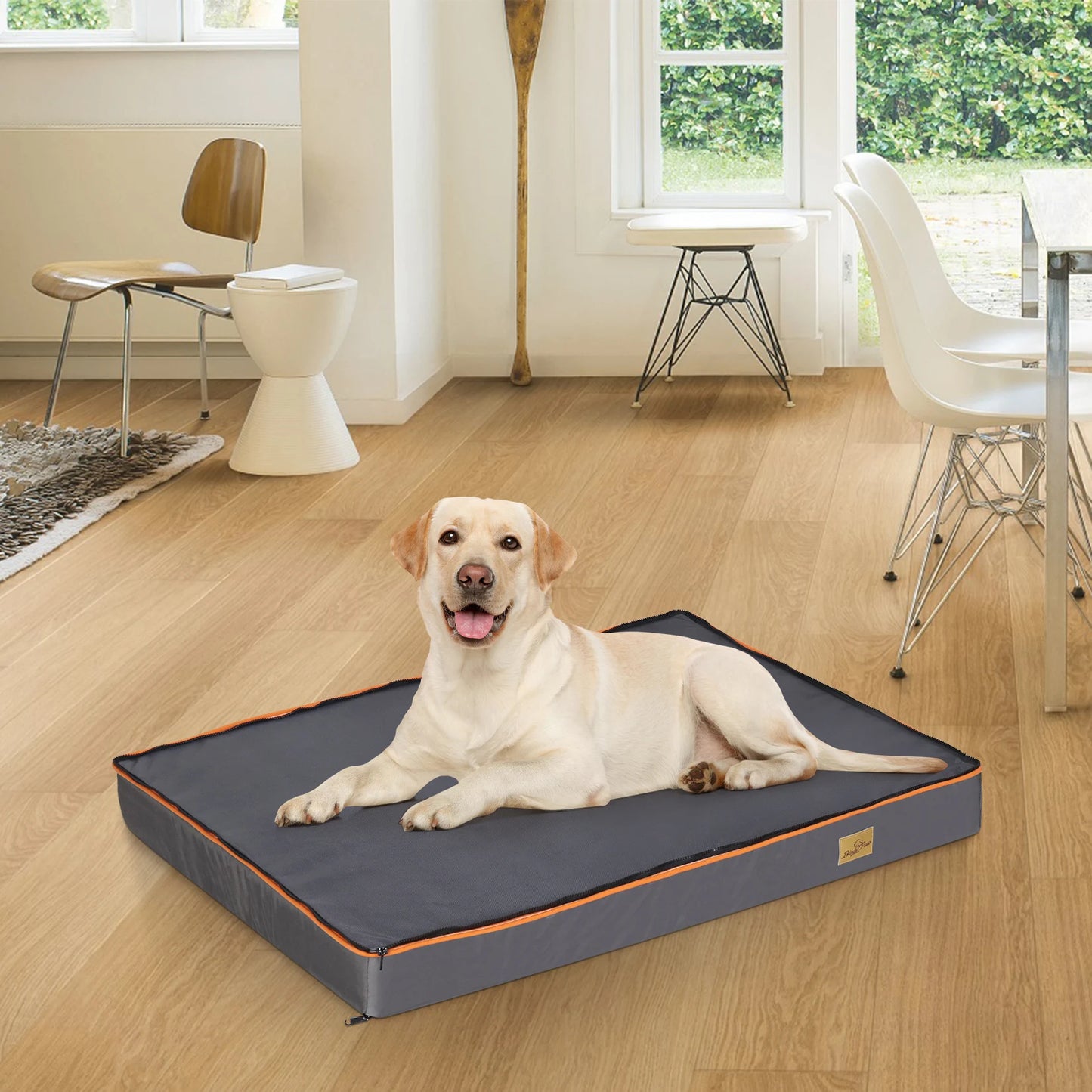Large Orthopedic Dog Bed Washable Foam Cushion for Pets