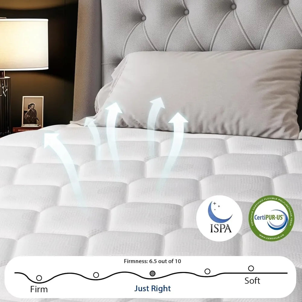 Ljustra 14 Inch Medium Firm Hybrid Mattress Memory Foam Pocket Springs