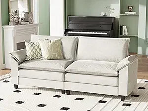 Ljustra Modular Sectional Loveseat Sofa Cloud Couch for Apartment