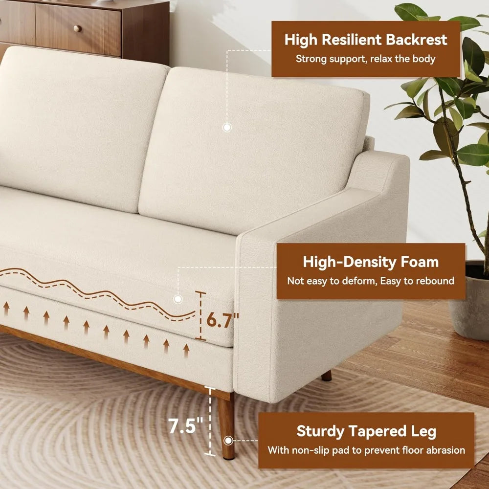 Ljustra 65.4 Inch Loveseat Sofa Modern Couch for Living Room Bedroom