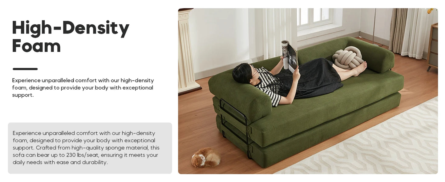 Ljustra Convertible Sleeper Sofa Bed Folding Couch Lounge Bed