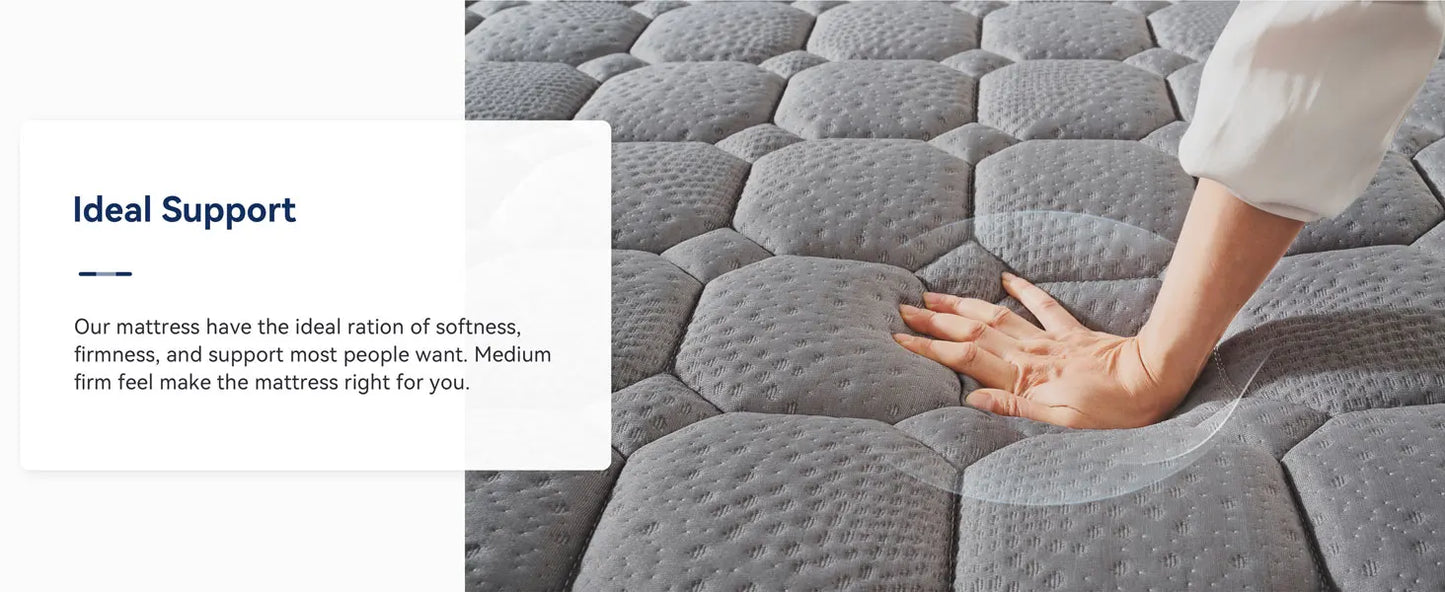 Ljustra 12 Inch Hybrid Queen Mattress Memory Foam Pocket Spring