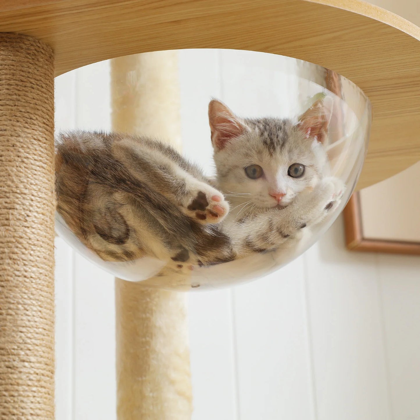 Multi-Level Cat Tree Indoor Wood Tower with Hammock Scratching Posts