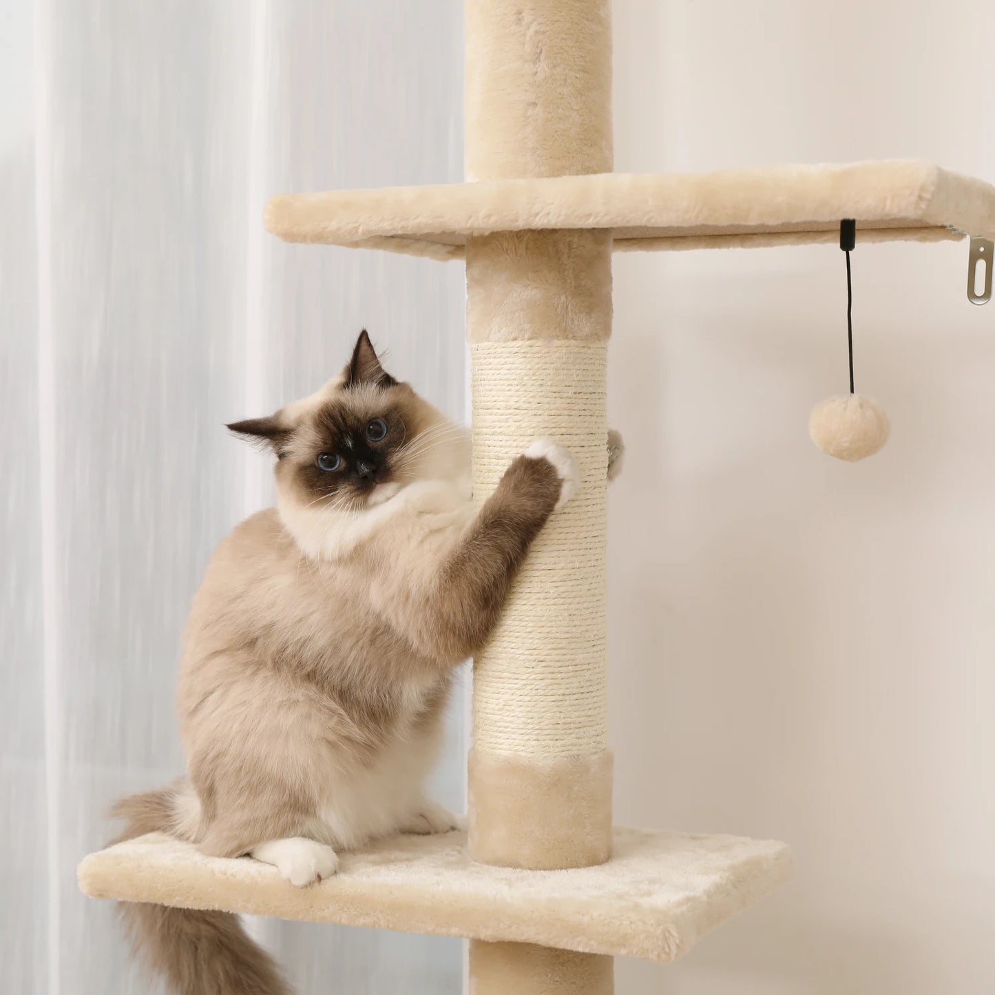 5-Tier Cat Tree Tower Indoor Climbing Scratching Post Hammock