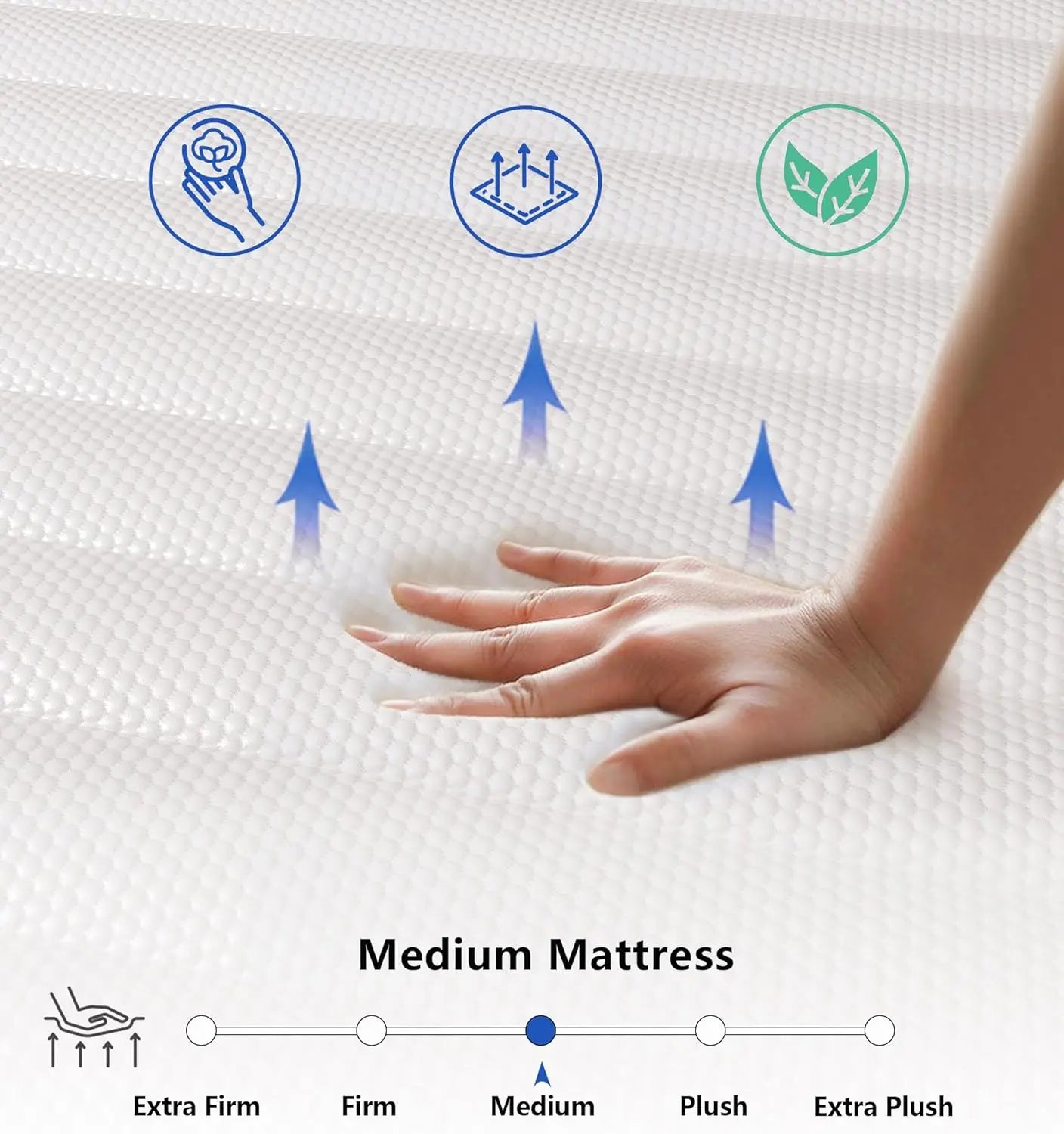 Ljustra 12 Inch Queen Mattress Medium Firm Memory Foam Pocket Springs
