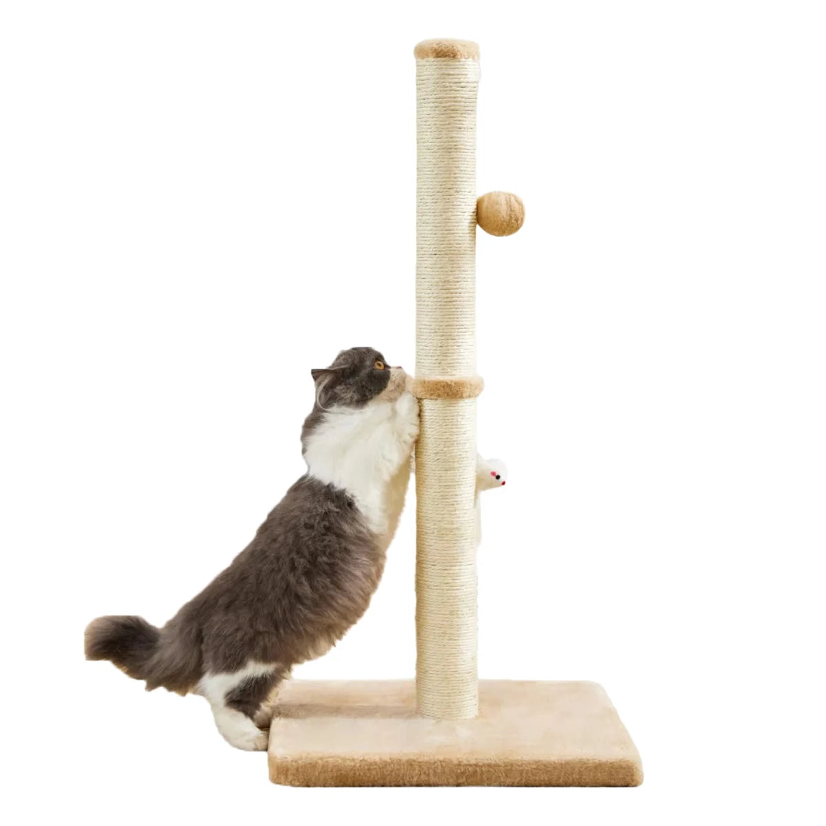 32 Inch Tall Cat Scratching Post with 2 Hanging Balls for Indoor Cats