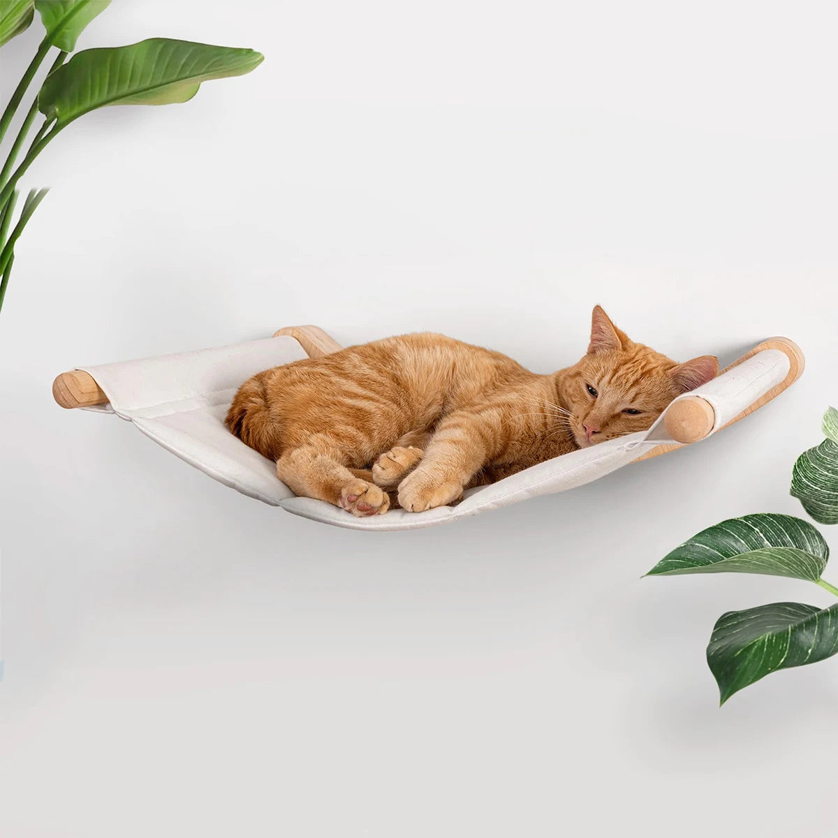 Cat Wall Furniture Shelves Climbing Steps Scratching Post for Cats