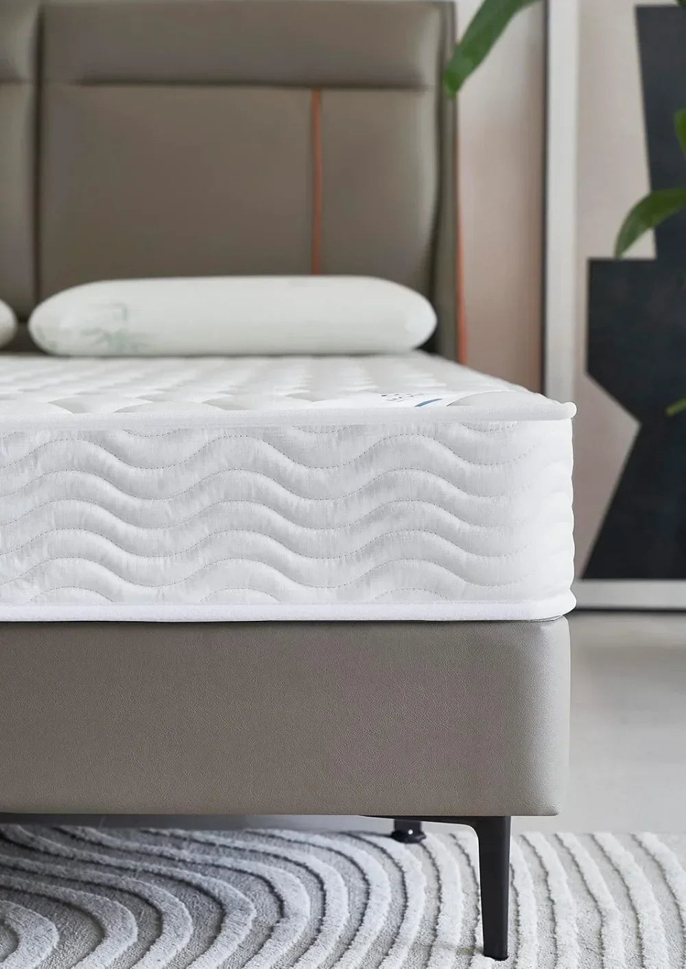 Ljustra Queen Mattress 6 Inch Hybrid Pocket Coil High Density Comfort Foam