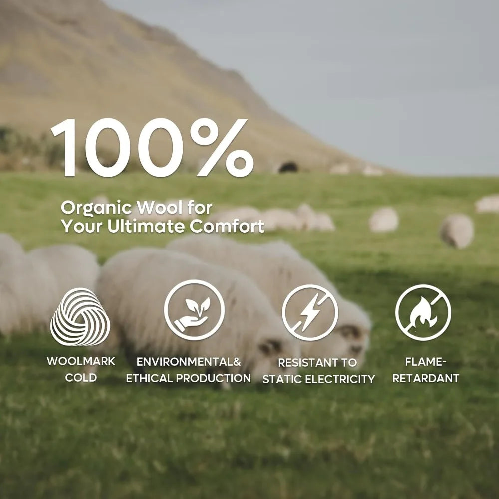 Ljustra 14 Inch Cooling Gel Memory Foam Mattress Queen Plush Organic