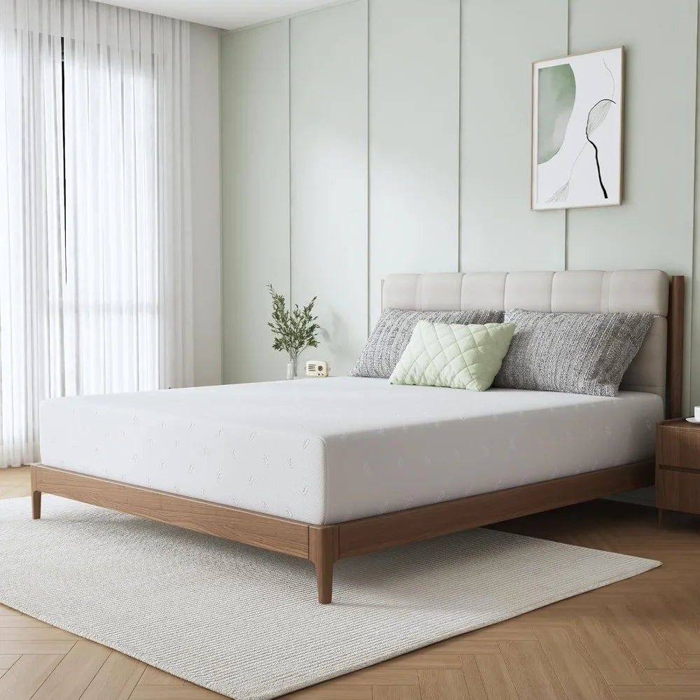 Ljustra Comfort Memory Foam Mattress 10 Inch Twin Full Queen King