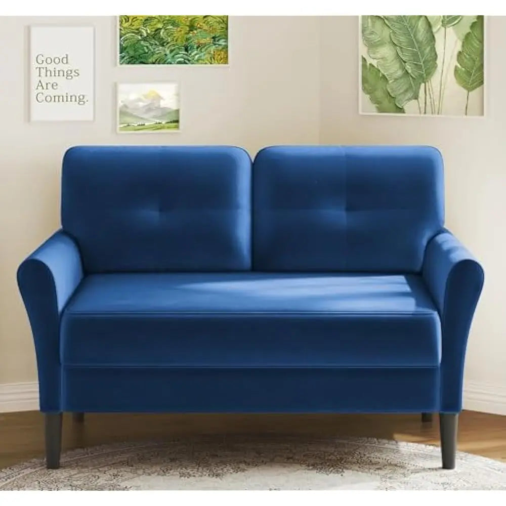 Ljustra 48 Inch Loveseat Sofa Velvet Couch Comfy for Living Room