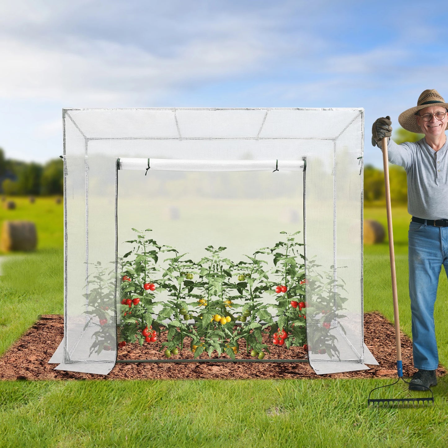 Green House Kit Outdoor Greenhouse Plant Storage PE Cover 200x77x170cm