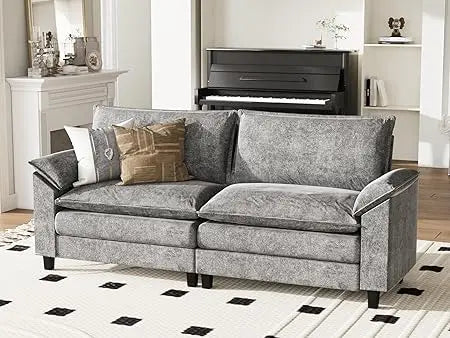 Ljustra Modular Sectional Loveseat Sofa Cloud Couch for Apartment