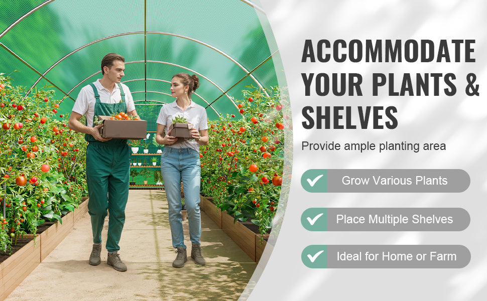 Large Walk-in Tunnel Greenhouse Heavy-Duty PE Cover Steel Frame