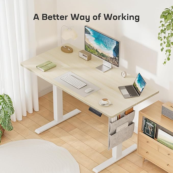 Adjustable Electric Standing Desk Modern Home Office with Storage Hook