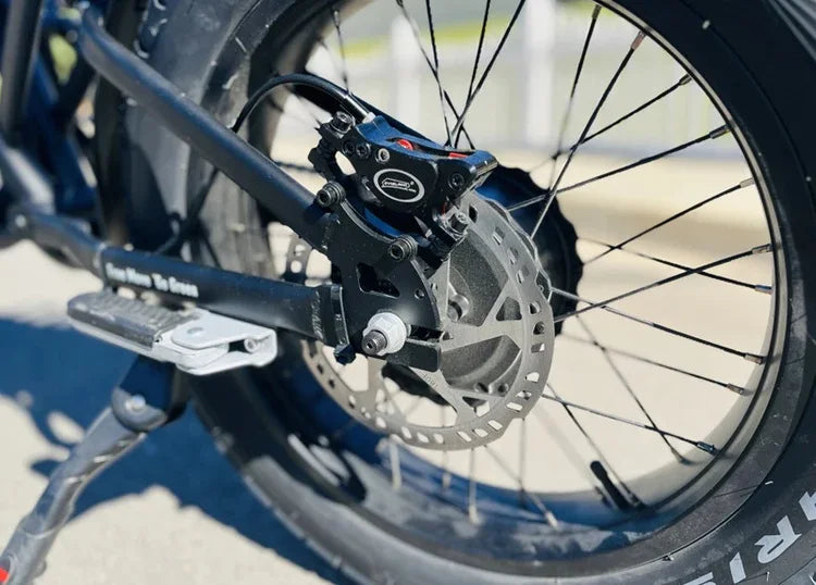 New FREEGO F0 Electric Bike 20 Inch Fat Tire Off Road E-bicycle 48V