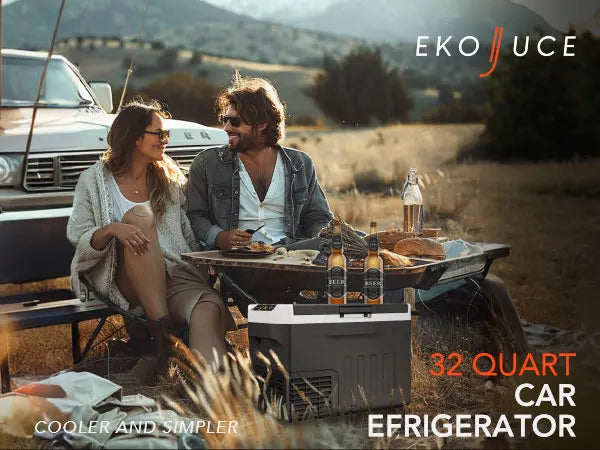 Portable Dual Zone Car Refrigerator 20L 30L Mini Fridge Cooler