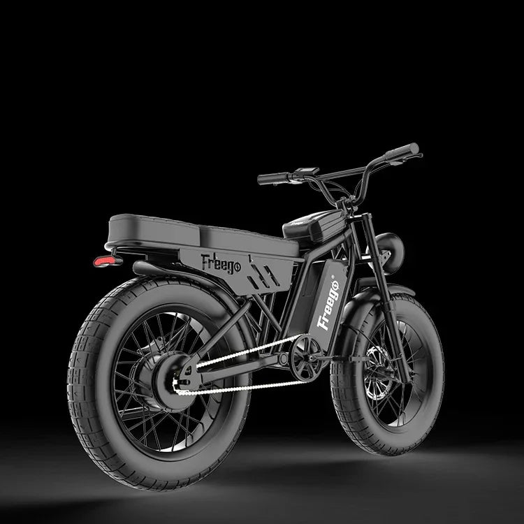 New FREEGO F0 Electric Bike 20 Inch Fat Tire Off Road E-bicycle 48V