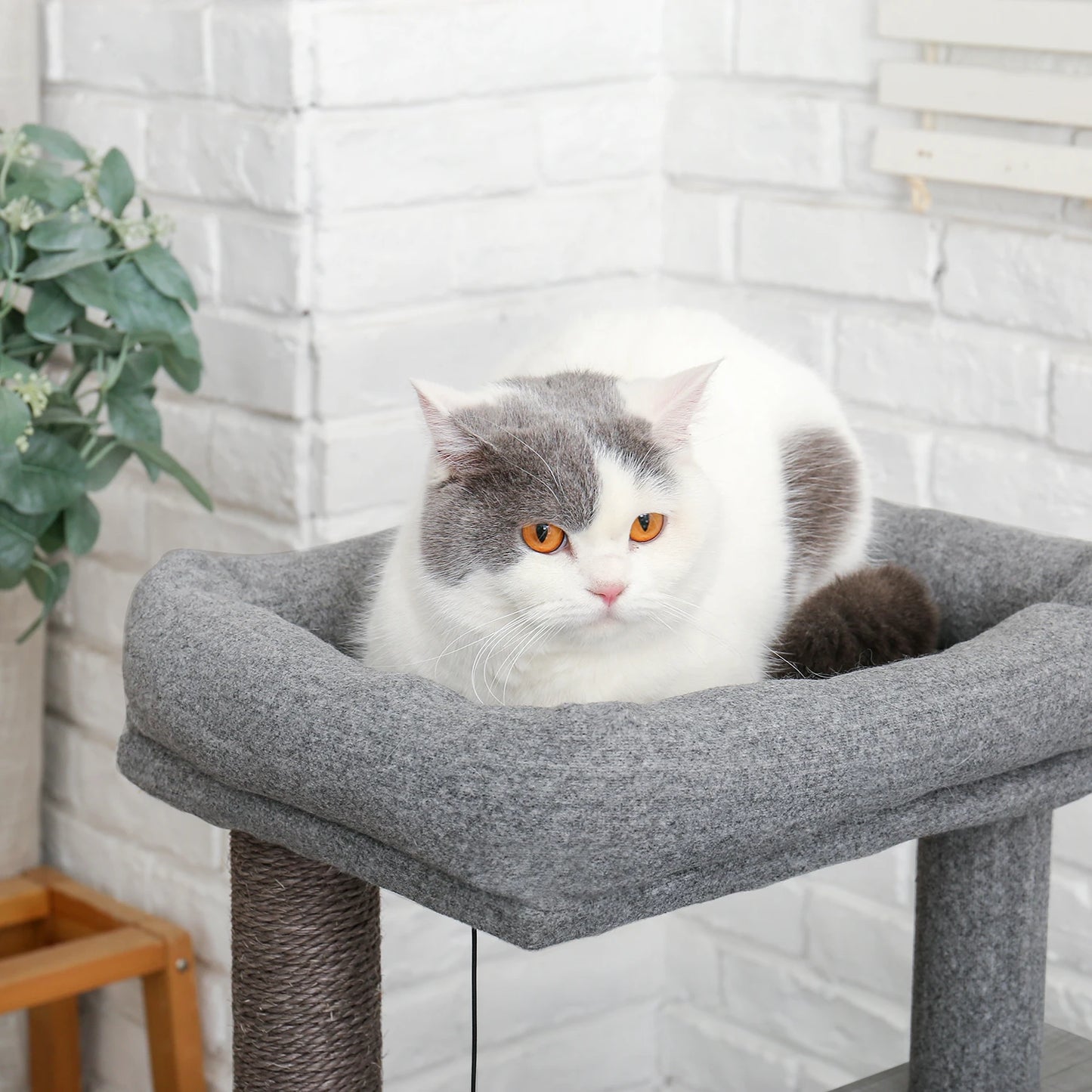 Pet Cat Tree Tower Condo Scratching Post Activity House for Cats