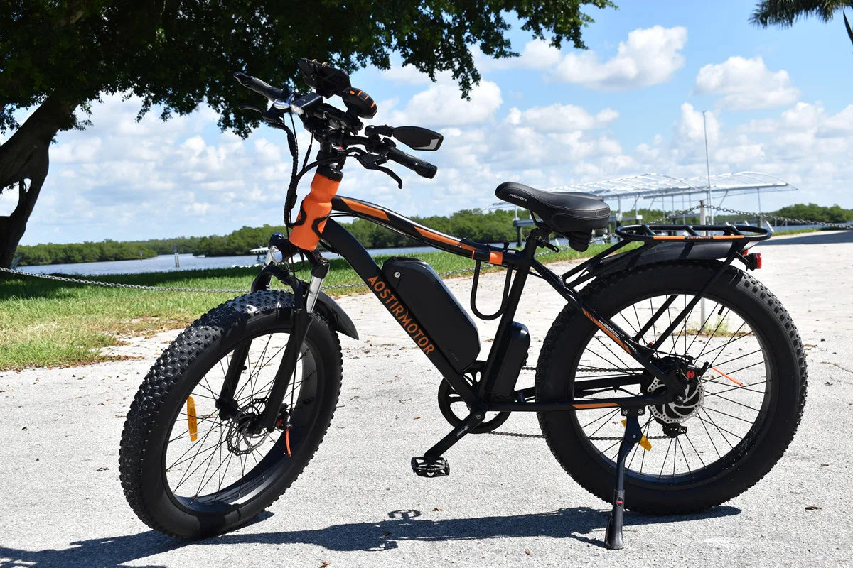 Ljustra Electric Mountain Bike 750W Motor 48V 13Ah Lithium Battery