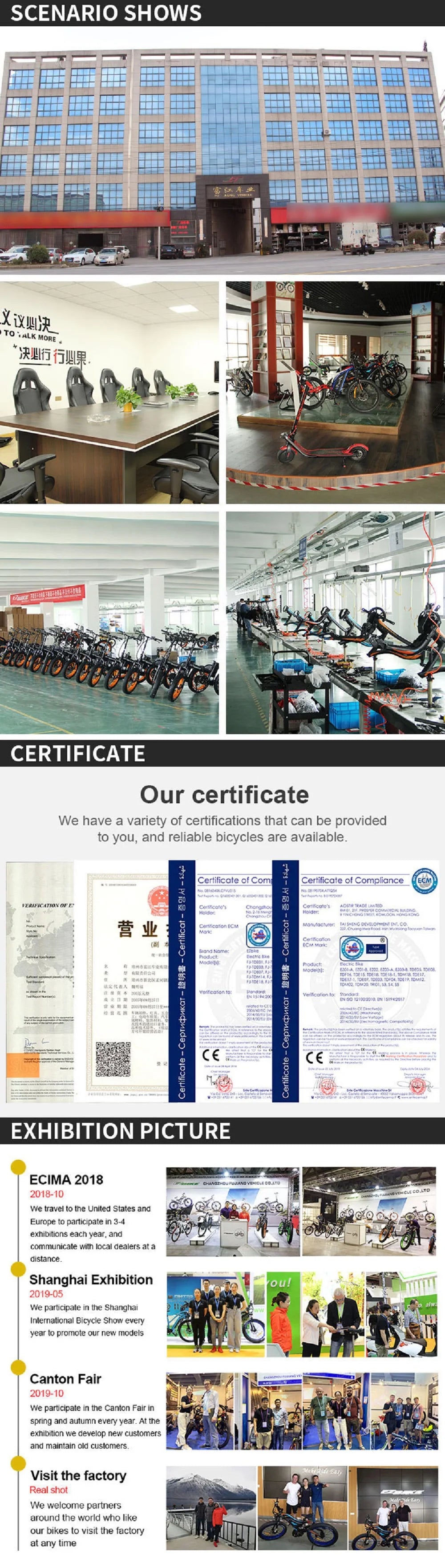 Ljustra Electric Mountain Bike 750W Motor 48V 13Ah Lithium Battery