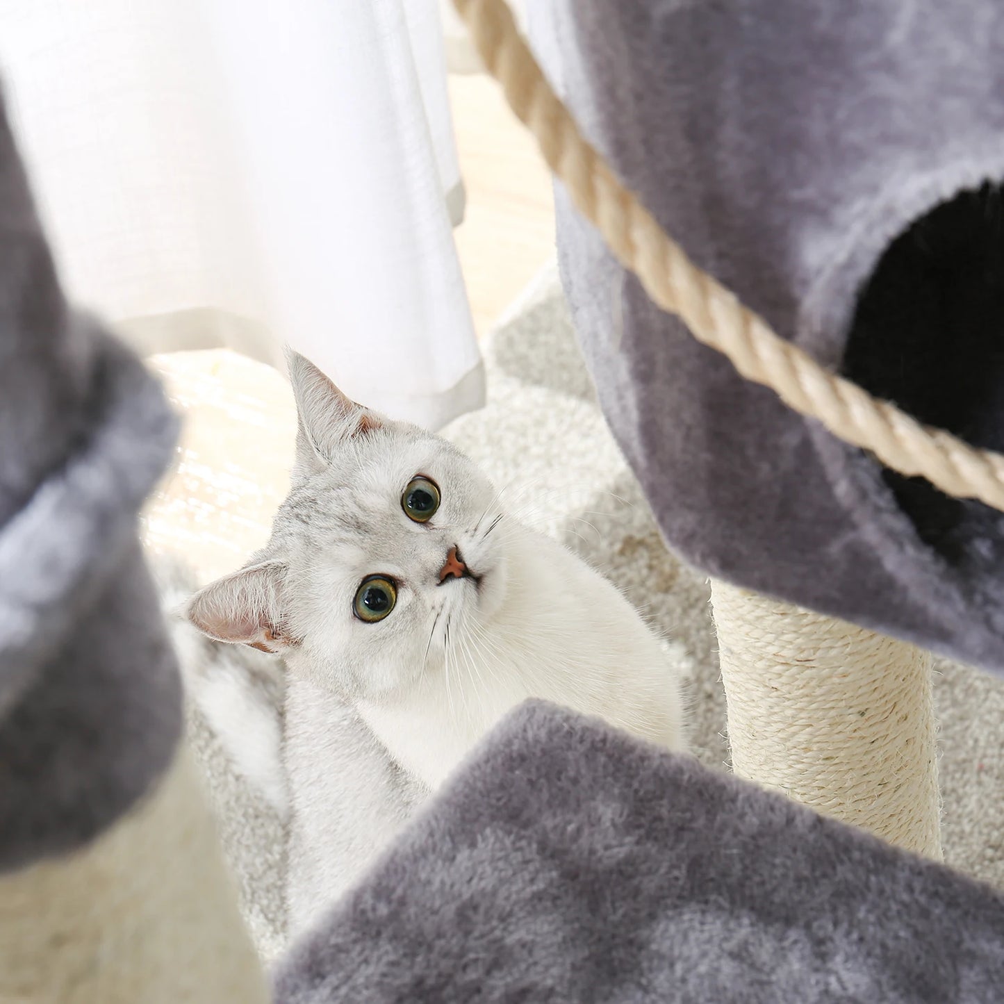 Pet Cat Tree Tower Condo Scratching Post Activity House for Cats