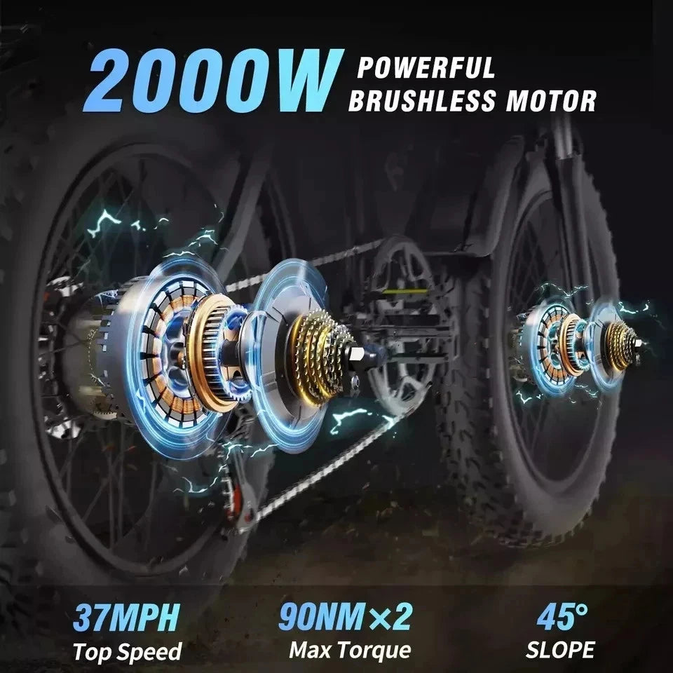 Ridstar 3000W Electric Bike 52V Dual Motor Fat Tire Mountain Bicycle