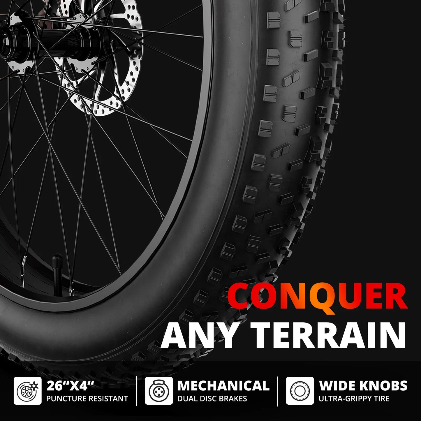 Ljustra AMYET EB26 Electric Bike 1000W 48V Fat Tire Mountain Ebike