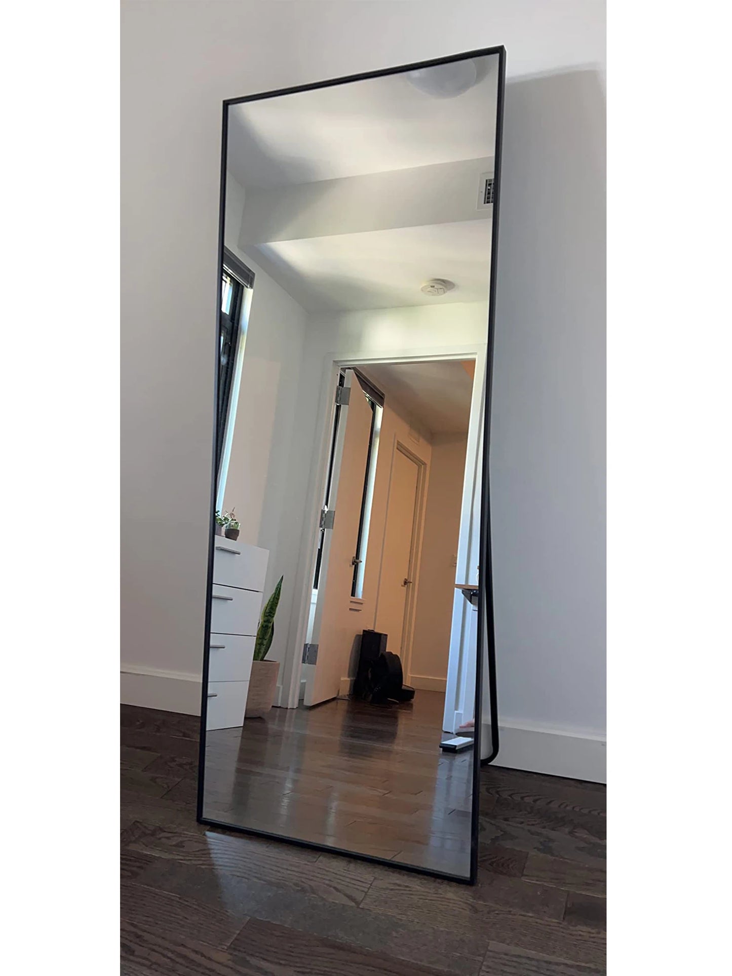 Ljustra Full Length Floor Mirror 65x24 Framed Black Metal Standing Mirror