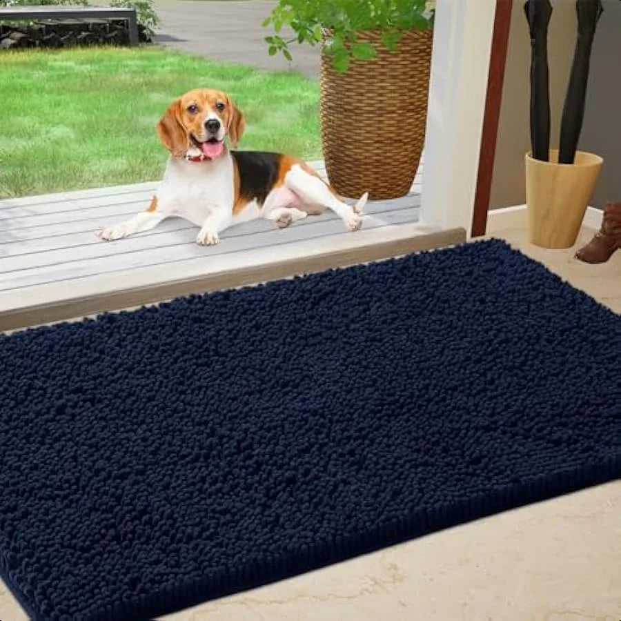 Chenille Absorbent Outdoor Doormat Washable Non Slip Dog Mat 30x20