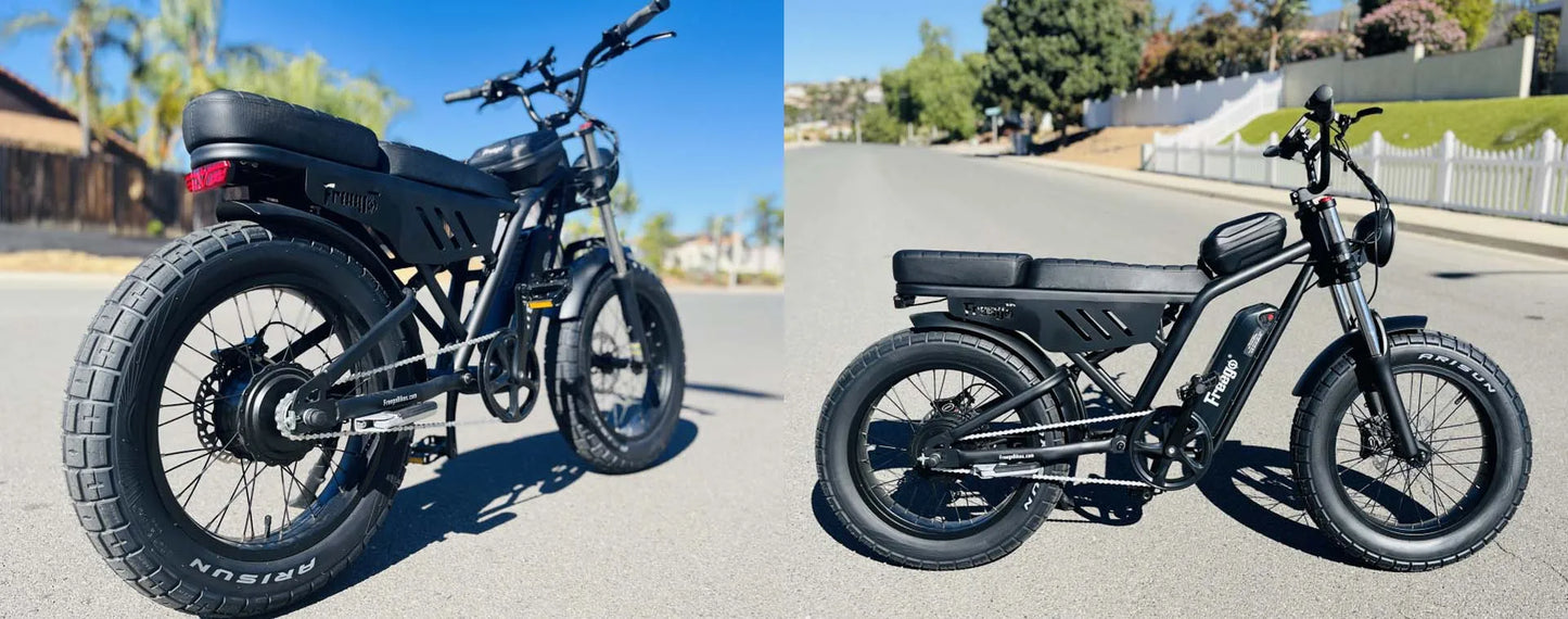 New FREEGO F0 Electric Bike 20 Inch Fat Tire Off Road E-bicycle 48V