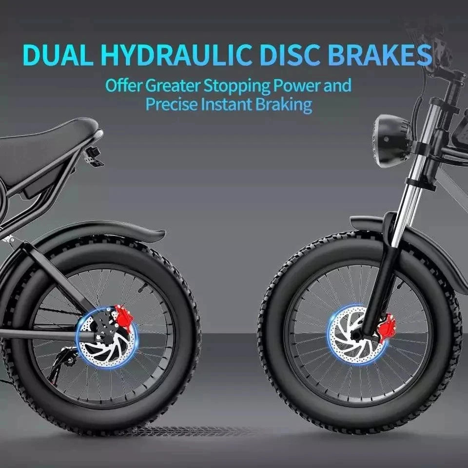 Ridstar 3000W Electric Bike 52V Dual Motor Fat Tire Mountain Bicycle