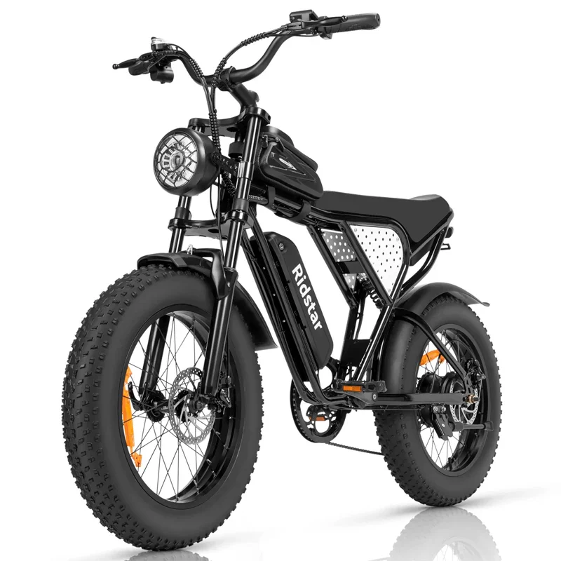1000W Electric Bike 20 Inch Fat Tire 48V Removable Battery Fast Speed