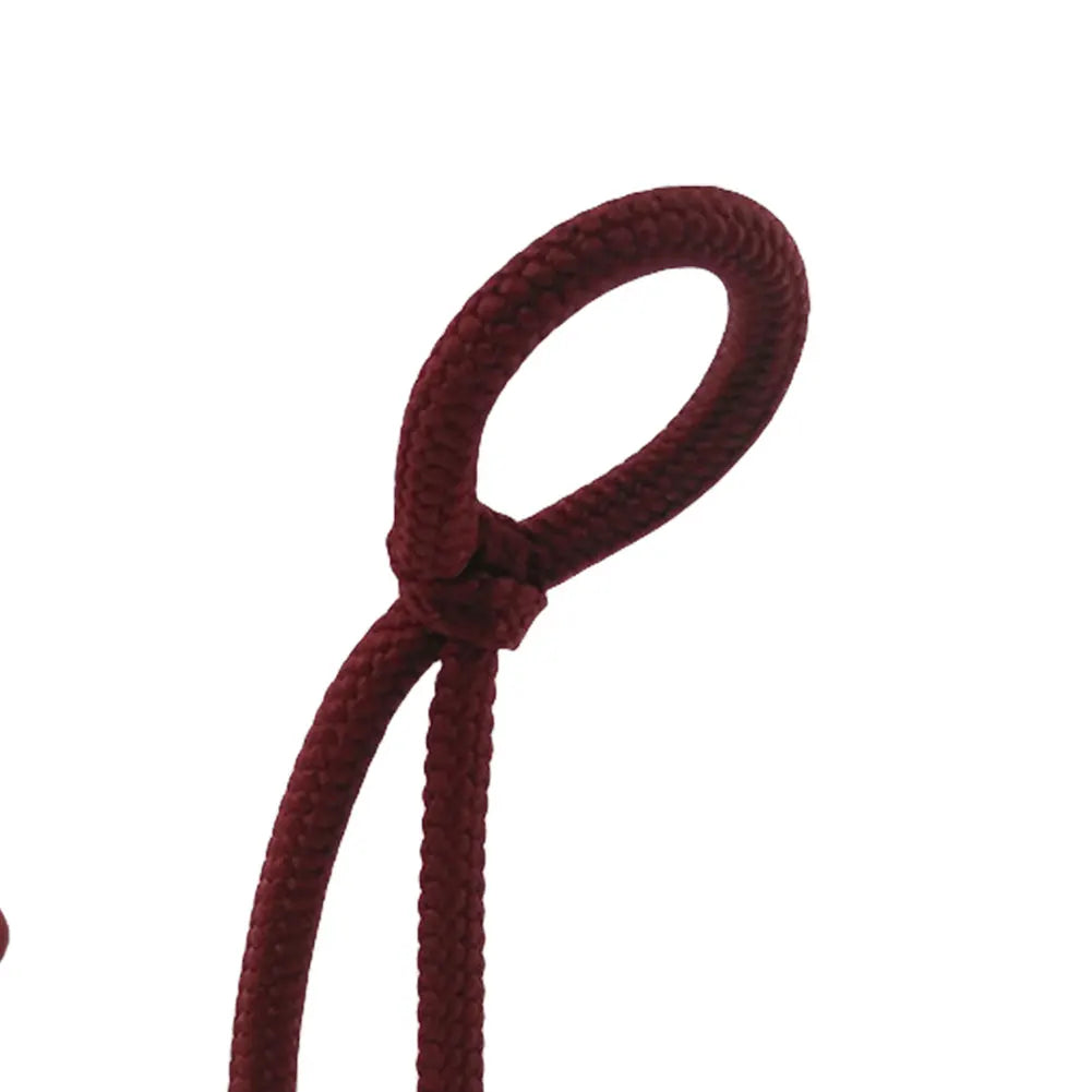 Creative Modern Wine Bottle Holder Rope Shaped Bracket for Home Bar