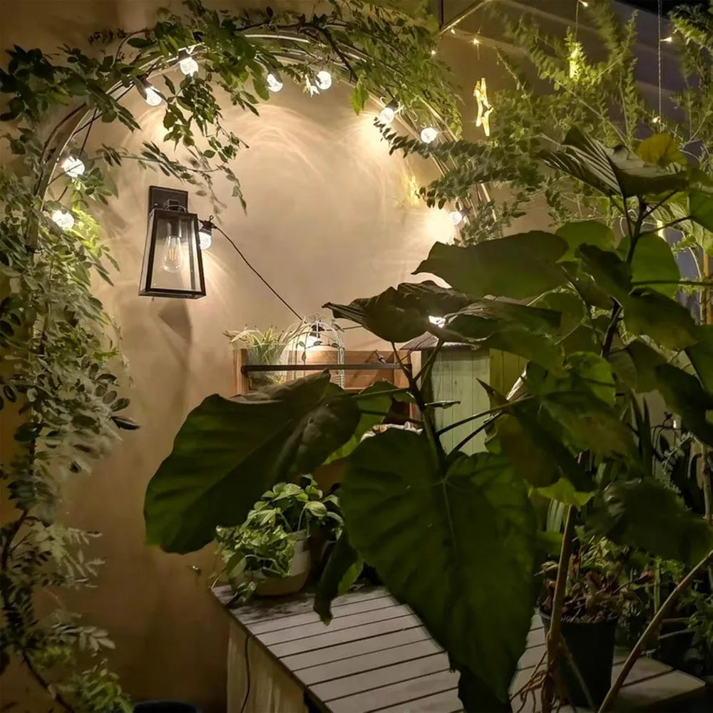 Garden Arch Trellis for Climbing Plants Metal Pergola Wall Mounted