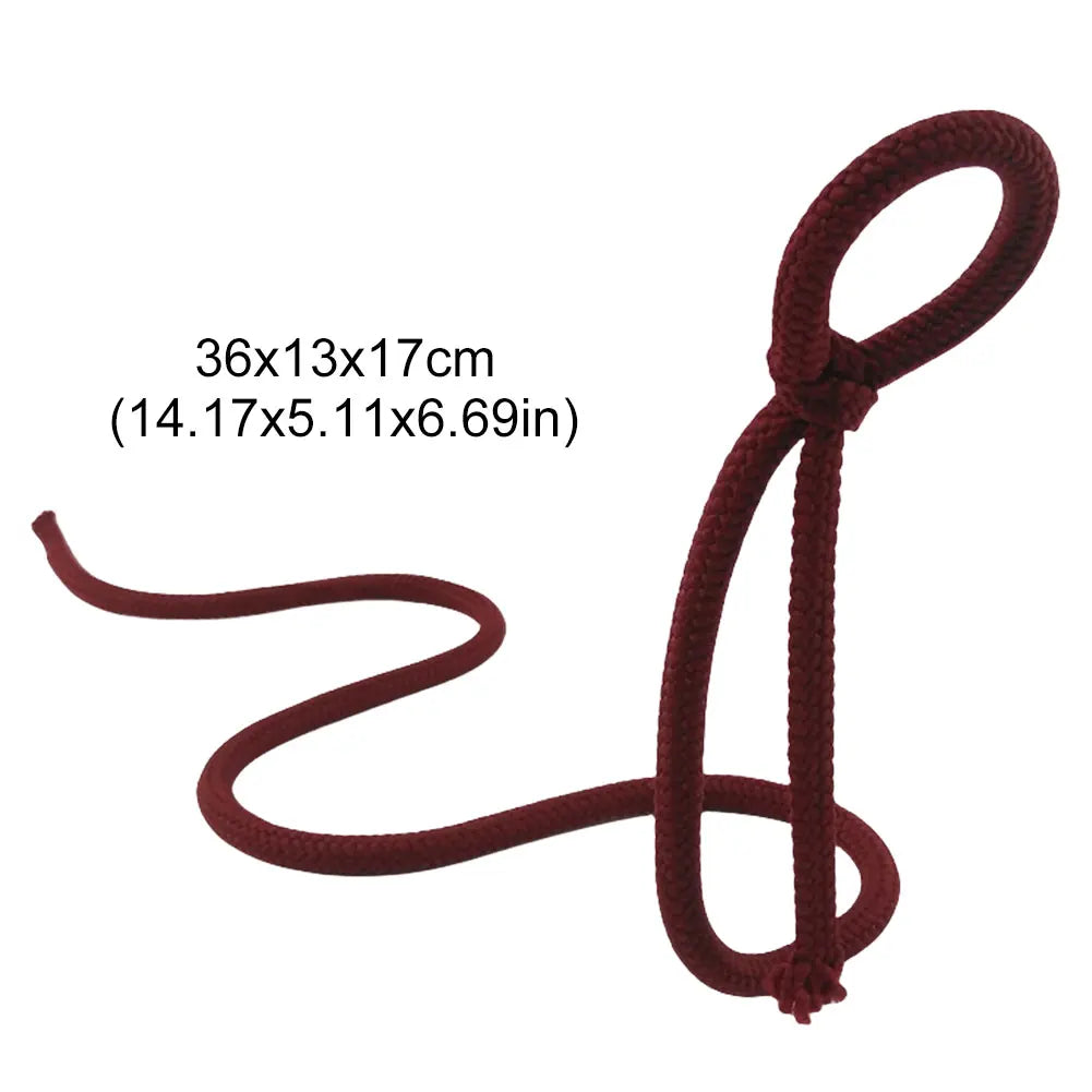 Creative Modern Wine Bottle Holder Rope Shaped Bracket for Home Bar