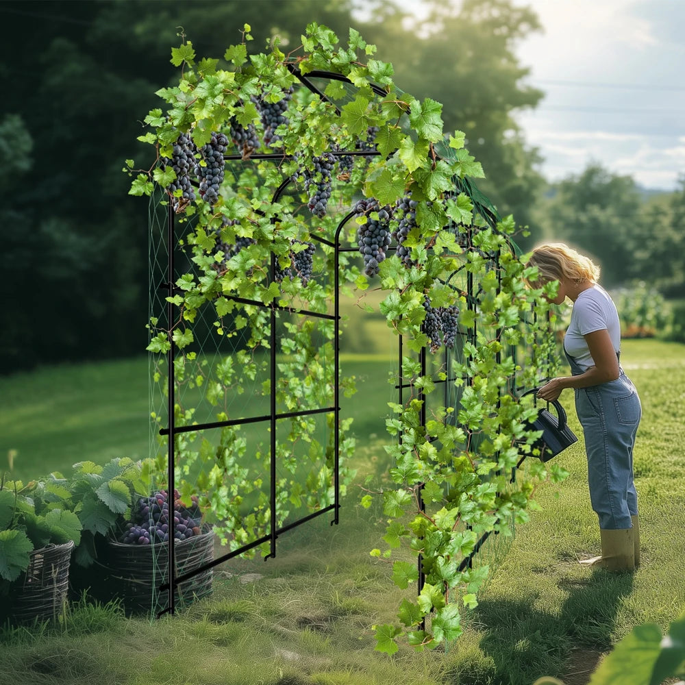 U-Shaped Metal Garden Trellis Support Frame for Climbing Plants