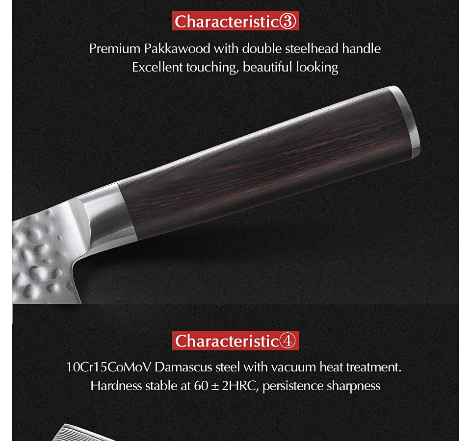 Ljustra 5PC Kitchen Knives Set VG10 Damascus Steel Pakkawood Handle
