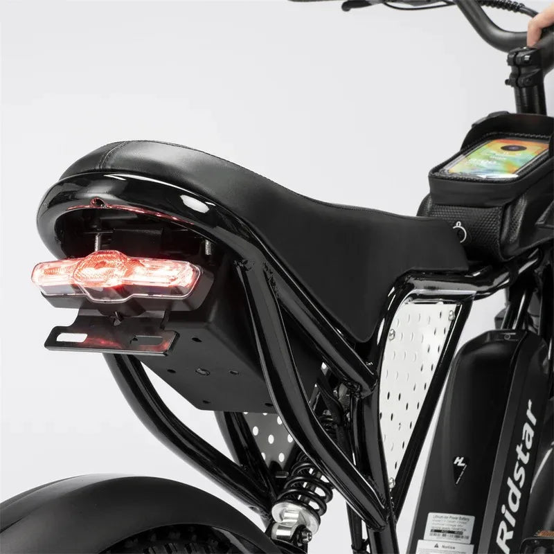 1000W Electric Bike 20 Inch Fat Tire 48V Removable Battery Fast Speed