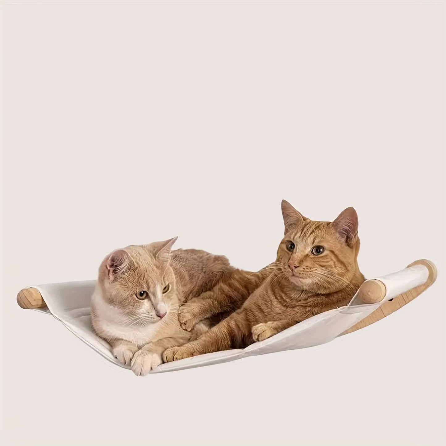 Cat Hammock Wall Mounted Shelf with Steps for Climbing and Lounging